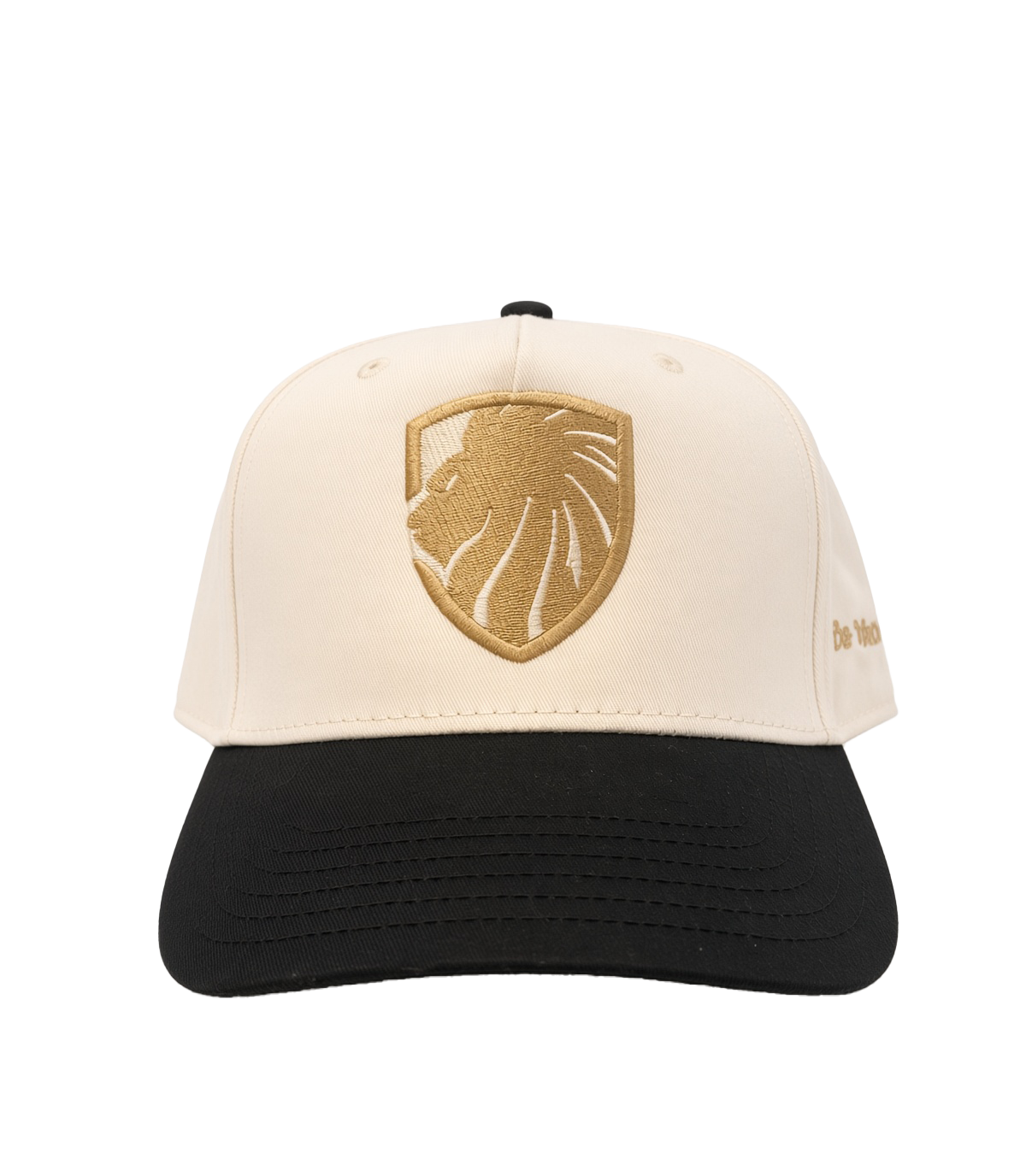 Mid-Profile Logo Cap